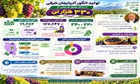  تولید انگور آذربایجان شرقی در سال جاری به بیش از ۳۳۰ هزار تن می‌رسد 